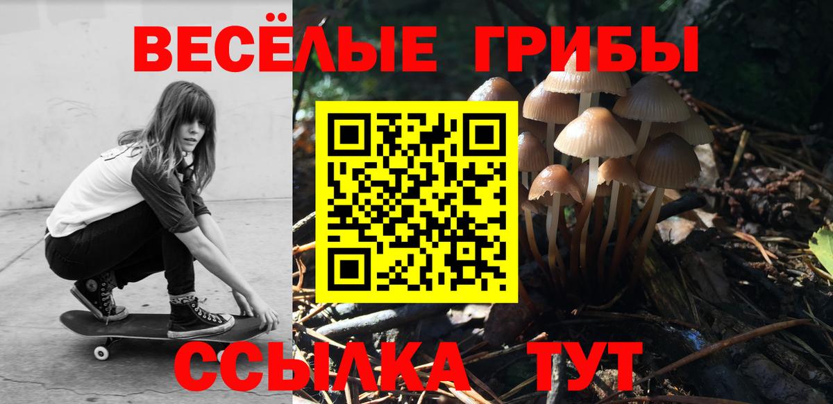 Псилоцибиновые грибы мицелий  Вход с VPN  Коркино 